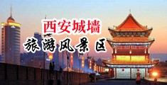男人把屌插进女人的逼里的视频中国陕西-西安城墙旅游风景区