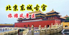 二次元裸女中国北京-东城古宫旅游风景区